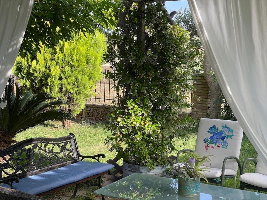 Mama'S Sunshine Garden Villa Agios Ilias  Extérieur photo